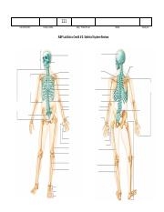 111 EC 2 Skeletal System Review PRINTOUT pdf 111 Lab Instructor Today 