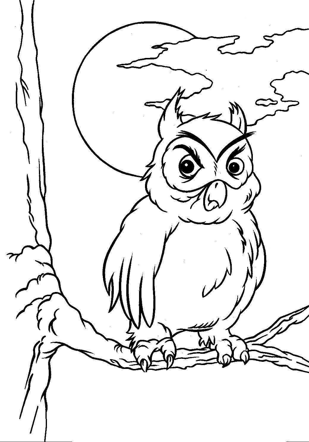 Angry Owl Coloring Page For Halloween Activities Print Color Craft
