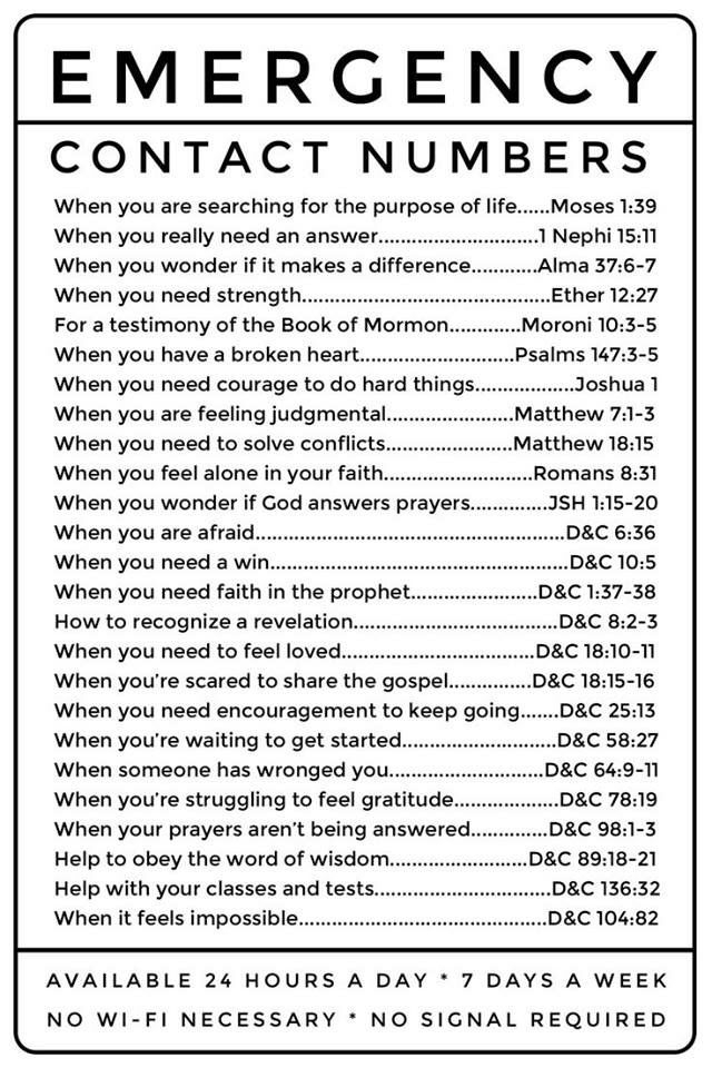 Bible Emergency Numbers Printable Printable And Enjoyable Learning