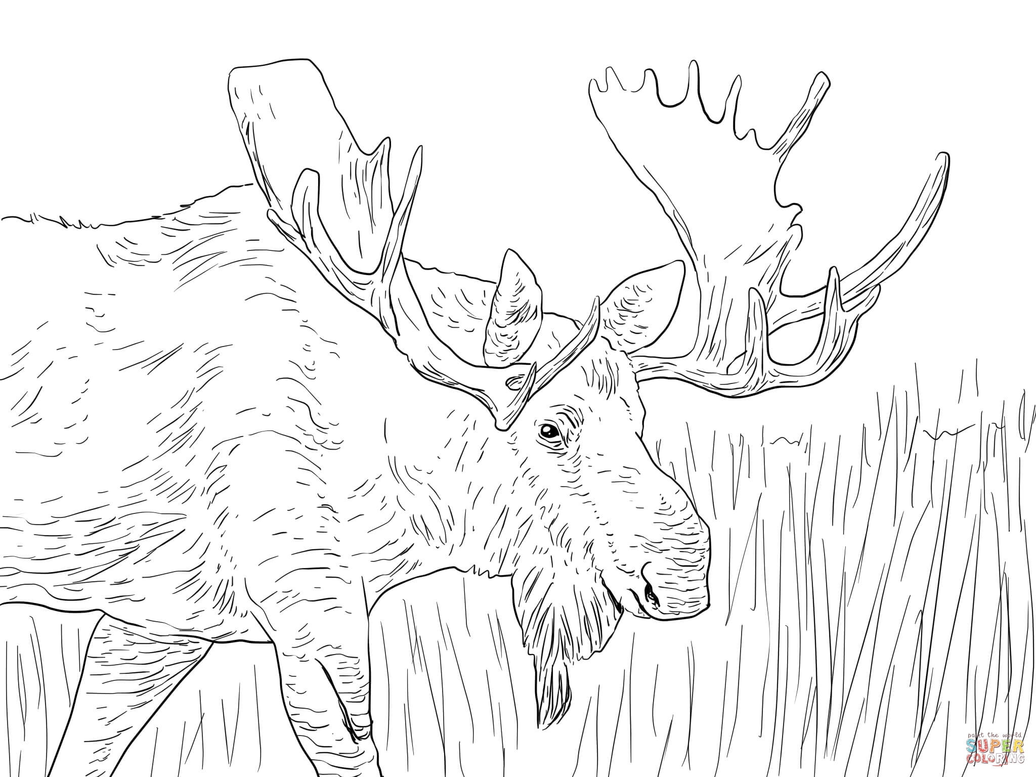 Free Alaska Coloring Pages Coloring Home