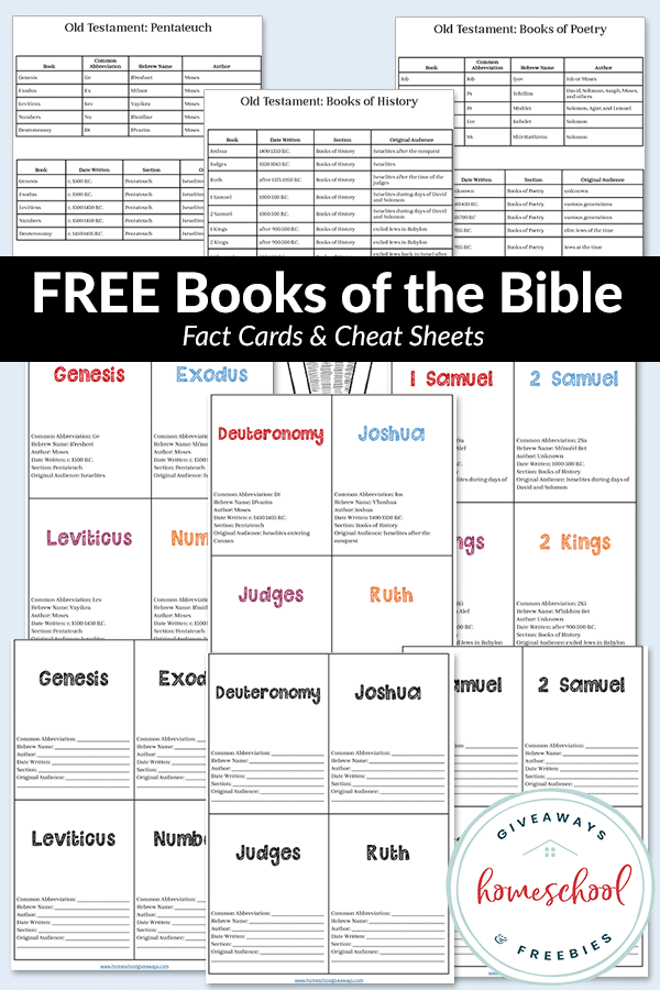 Free Printable Bible Breakdown Sheets
