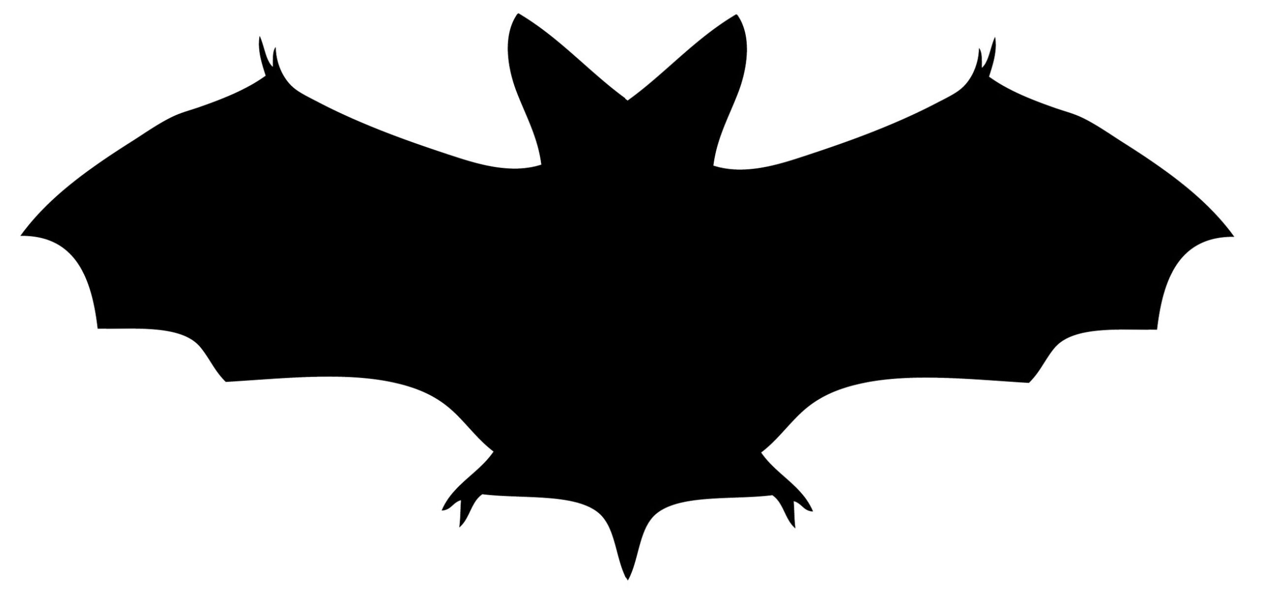 Halloween Printable Bats
