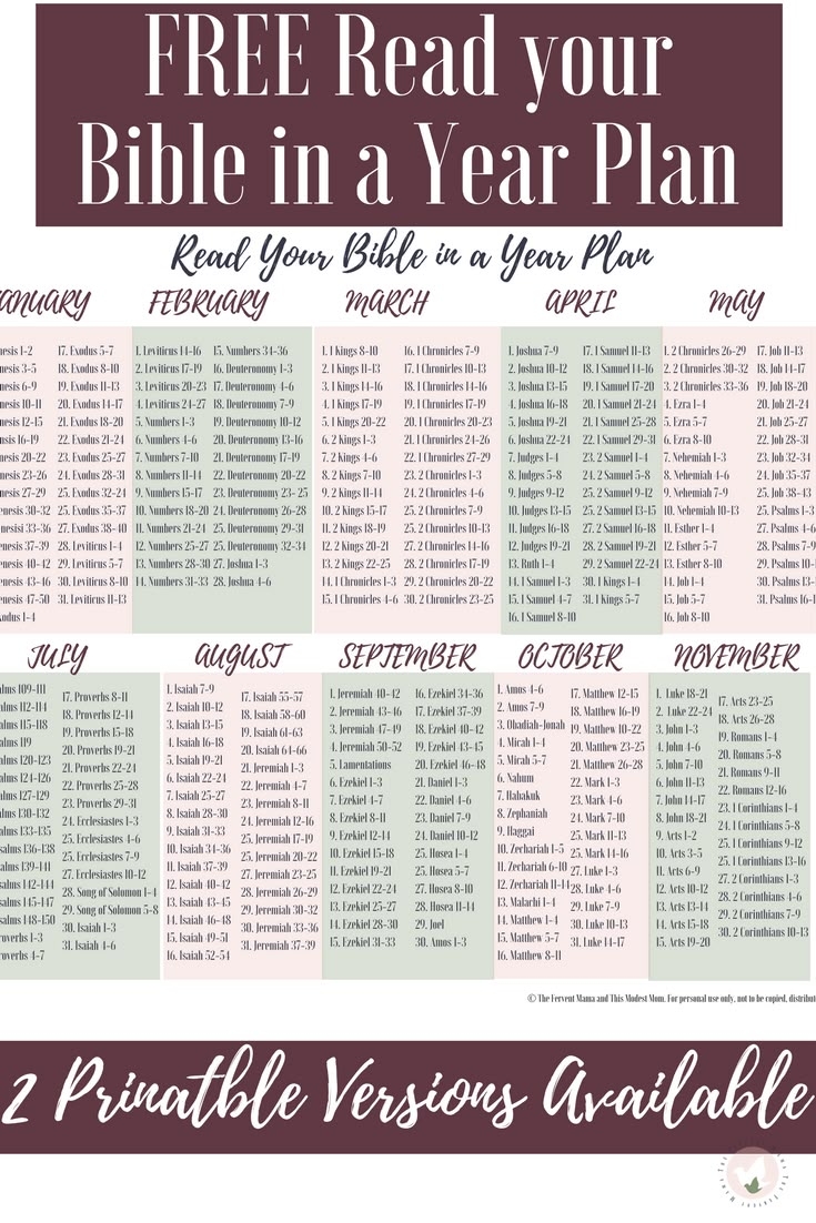 Pdf 12 Month Bible In A Year Reading Plan Printable Pdf 12 Month Bible In A Year Reading Plan Printable