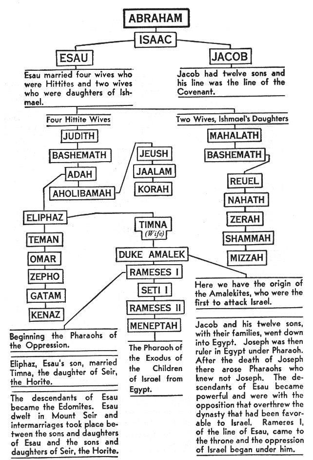 Printable Bible Family Tree Printable Word Searches