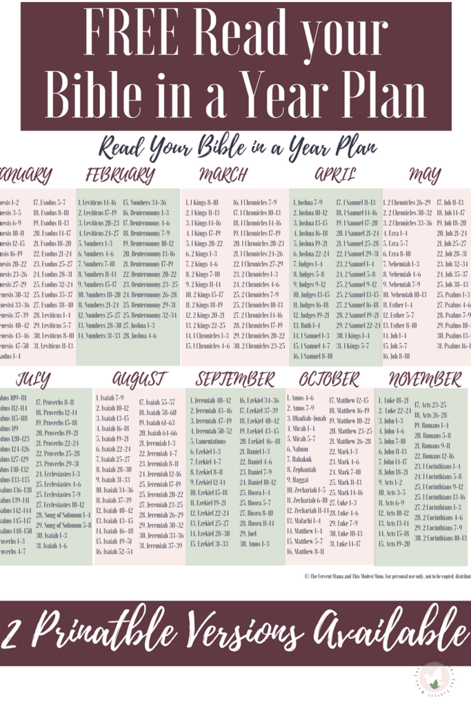 Printable Bible Reading Plans For One Year