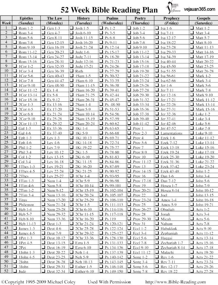 Reading The Bible In 365 Days Schedule