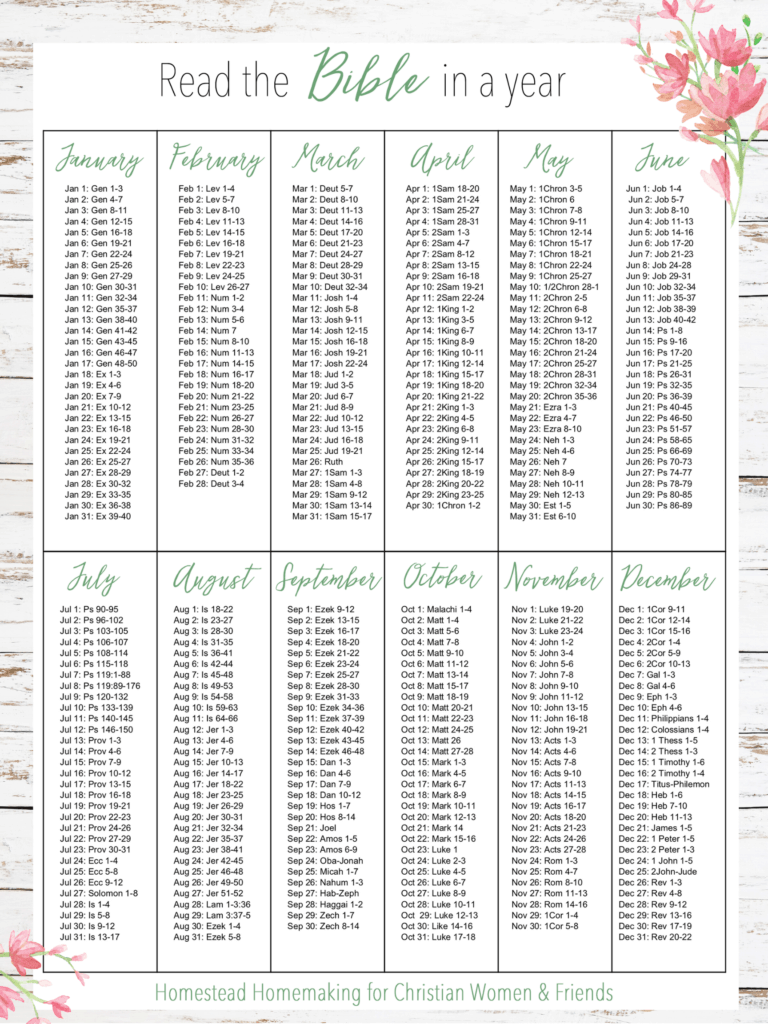 Reading The Bible In A Year Printable