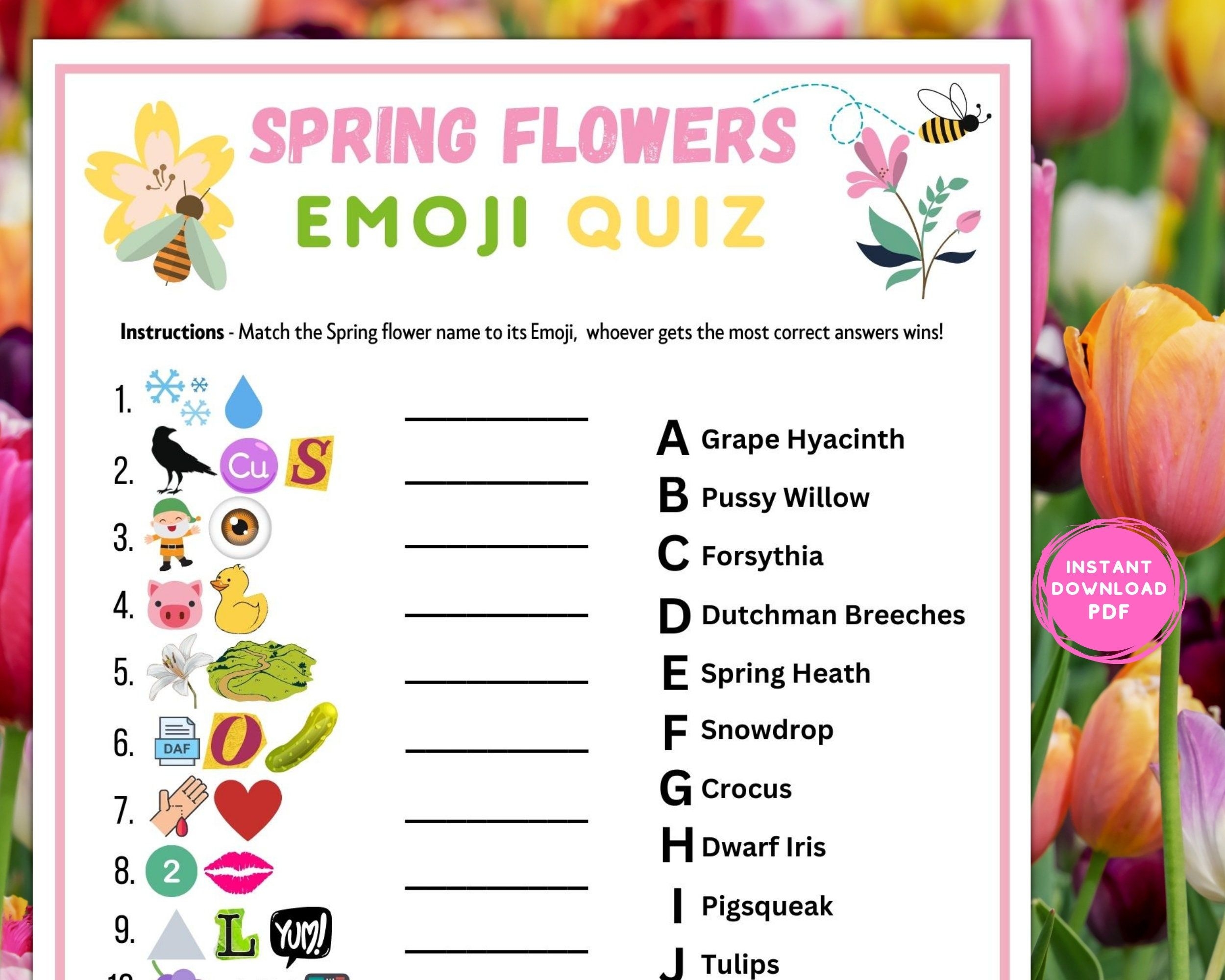 Spring Flower Emoji Trivia Match Up Printable Springtime Game Spring 