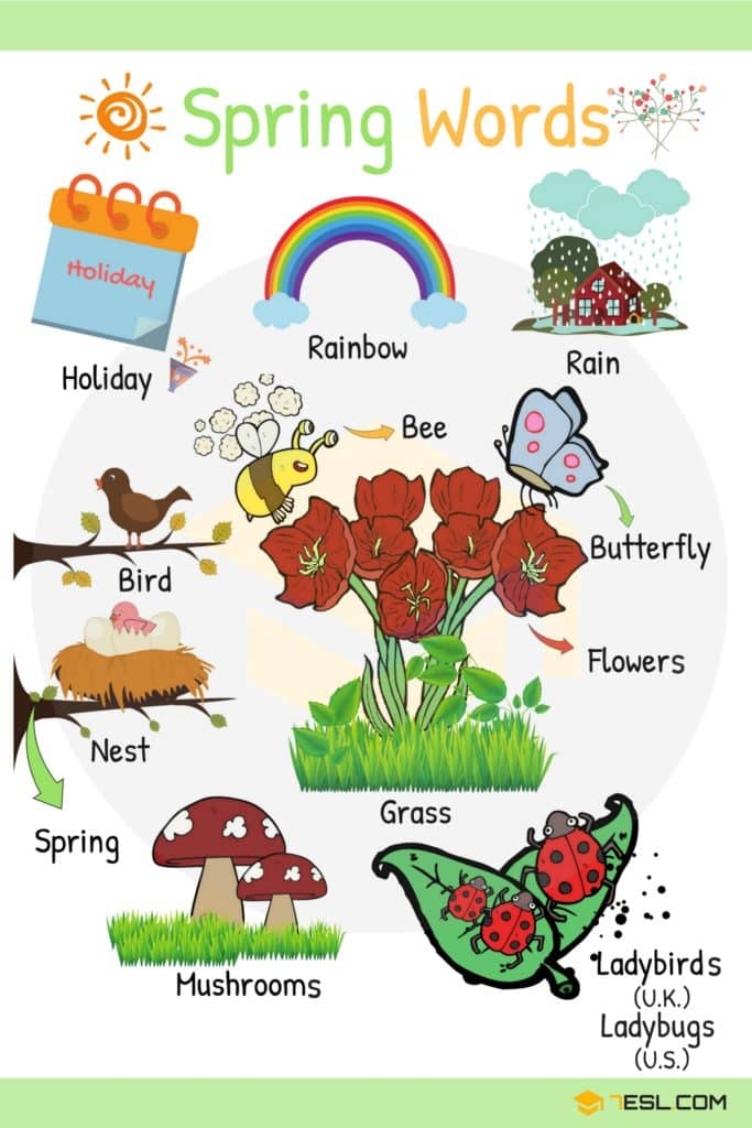 Spring Vocabulary 100 Common Spring Words In English 7ESL