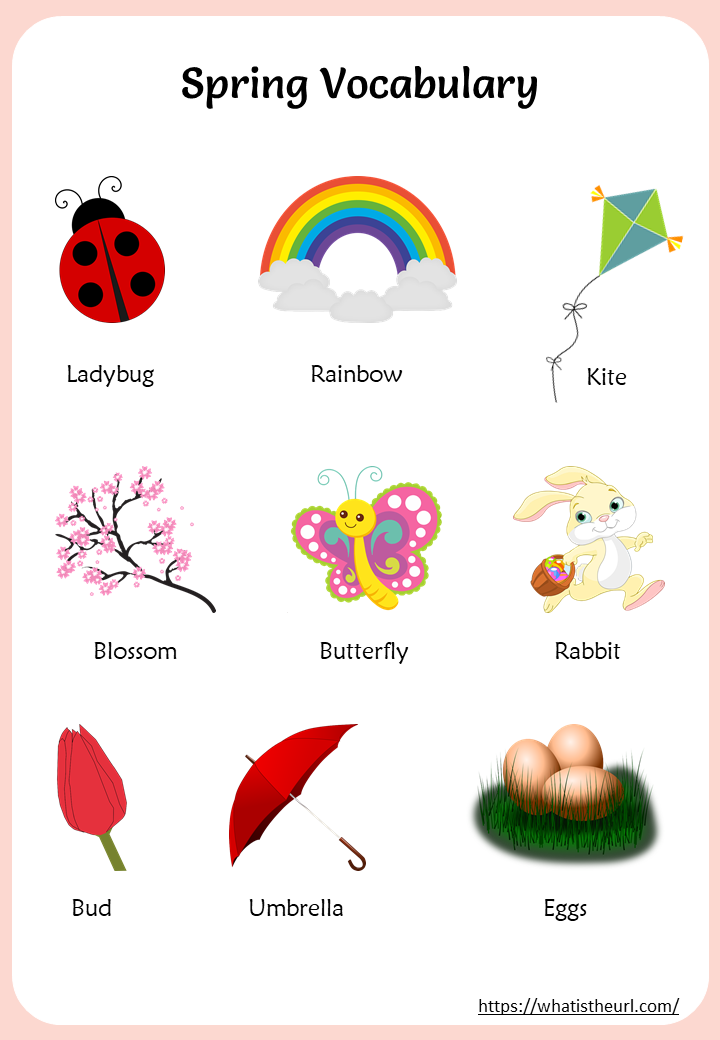 Spring vocabulary Your Home Teacher