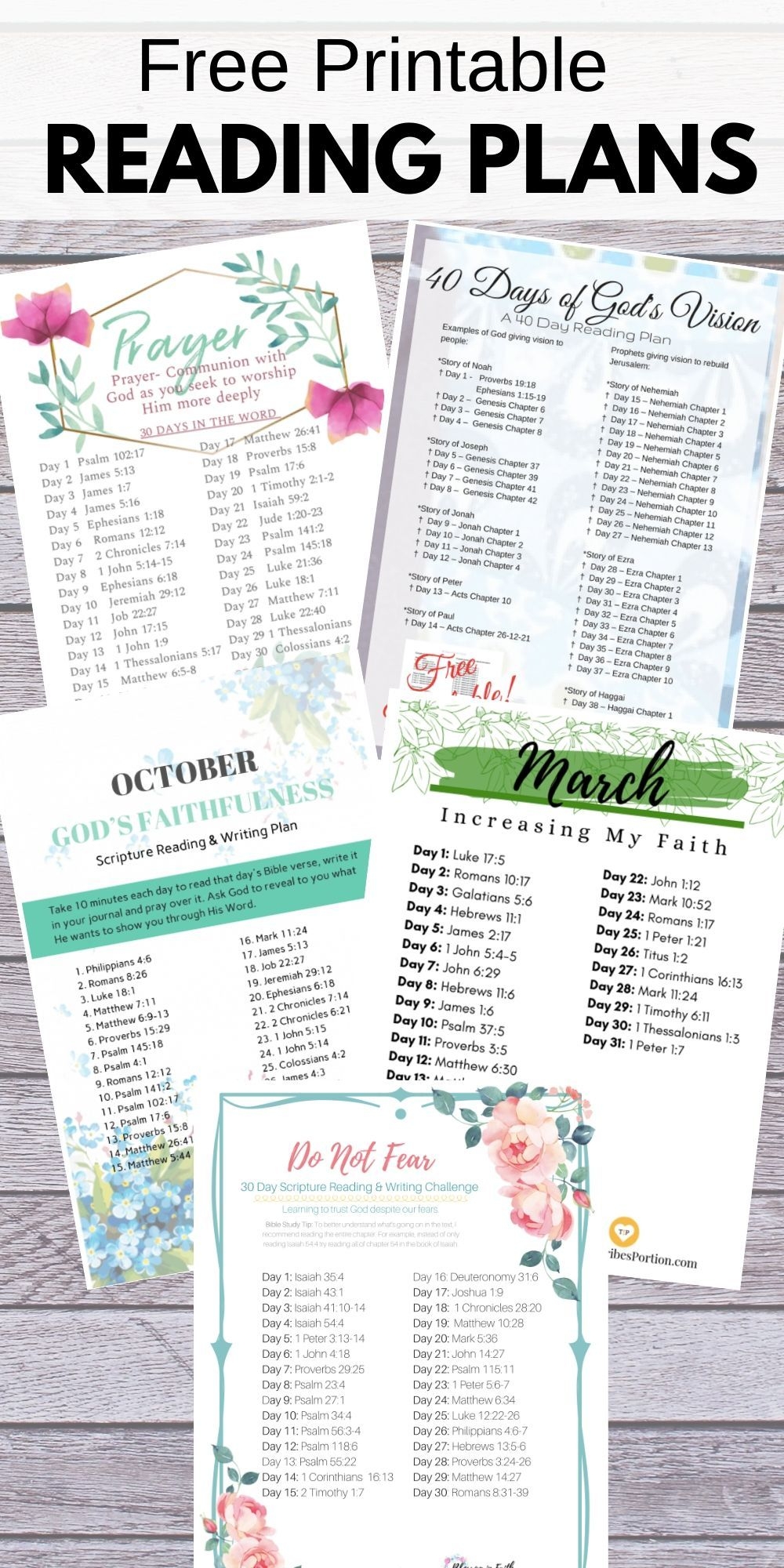 The Bible Recap Printable Reading Plan The Bible Recap Printable Reading Plan