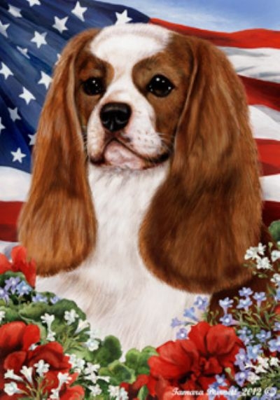 Tricia 39 s Tidbits JULY 4TH TRIVIA AND HUMOR