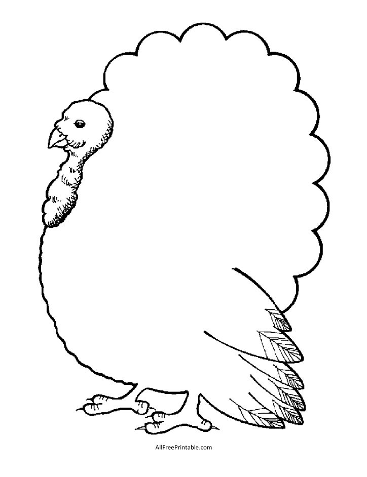 Turkey Outline Template Free Printable