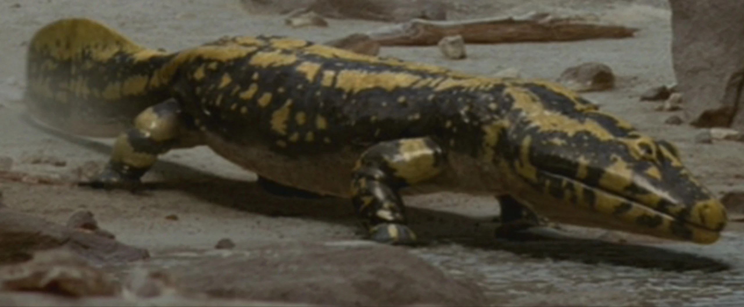 Welcome Third Graders Third Grade Jefferson