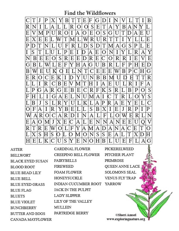 Free Printable Adult Word Searches Word Search Maker